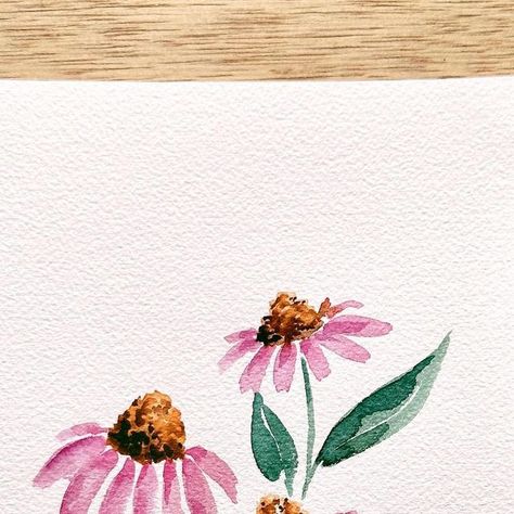 Kristin Van Leuven | Watercolor artist and instructor on Instagram: "If you’ve never seen a coneflower, you need to go look them up because the giant cone centers are incredible! 😍 Recreating them with watercolor was a super fun challenge and I’m in love with how they turned out. To get the day 18 tutorial, comment CONEFLOWER and I’ll send the link to the YouTube video to your DMs" How To Paint Coneflowers Acrylic, Cone Flower Watercolor Painting, Coneflower Painting Acrylic, Coneflower Painting, Purple Coneflower Watercolor, How To Watercolor, Flowers Watercolor, Flower Center, Fun Challenges