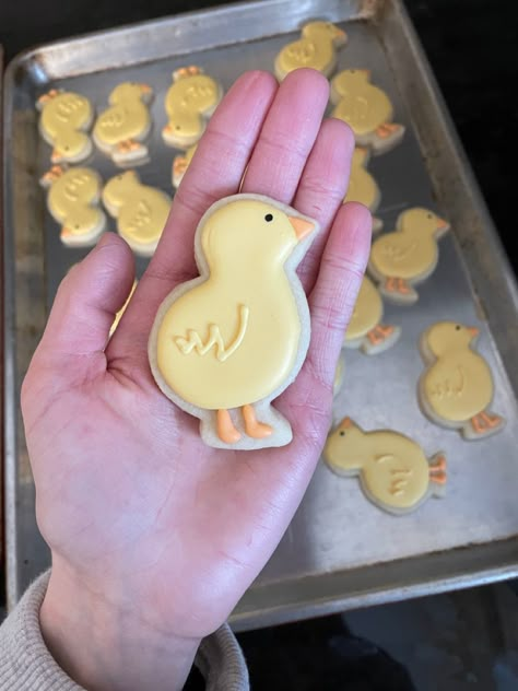 Chick Cookies Royal Icing, Easter Chick Cookies Decorated, Easter Sugar Cookies With Royal Icing, Chick Sugar Cookies, Easter Cookies Decorated Ideas, Easter Cutout Cookies, Easter Cookies Decorated, Spring Sugar Cookies, Easter Cookie Ideas