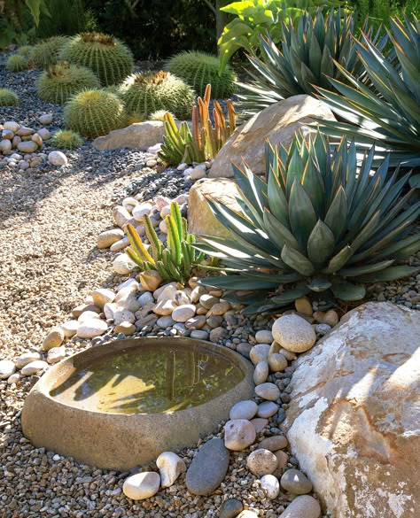 stone-water-vessel-rock-landscaping-AESGOLYpap5BtsQz8W6imB Gravel Landscaping, Drought Tolerant Garden, Drought Tolerant Landscape, Rock Garden Design, Rock Landscaping, Dry Garden, Gravel Garden, Landscaping With Large Rocks, Drought Resistant