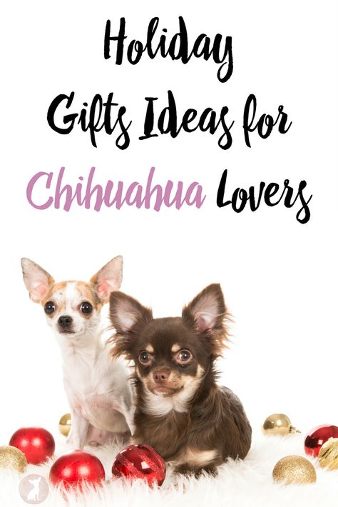 Do you have a Chihuahua lover in your life? Need gift ideas? Check out these holiday gift ideas for Chihuahua lovers in our ultimate gift guide. Service Dogs Breeds, Meme Love, Pets Christmas, Custom Dog Art, Chihuahua Gifts, Frozen Dog, Pet Blog, Chihuahua Lover, Ultimate Gift Guide