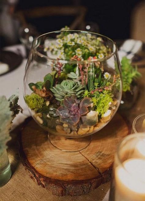 rustic succulent wedding centerpiece / http://www.himisspuff.com/rustic-wedding-centerpiece-ideas/17/ Amazing Wedding Centerpieces, Carondelet House Wedding, Terrariums Diy, Creative Wedding Centerpieces, Succulent Wedding Centerpieces, Terrarium Centerpiece, Terrarium Wedding, Succulent Centerpieces, Deco Nature