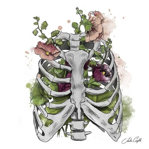 Rib Cage Anatomy, Brush Watercolor, Art Mignon, Rose Illustration, Skeleton Art, Anatomy Art, Pretty Art, Art Sketchbook, Flower Drawing