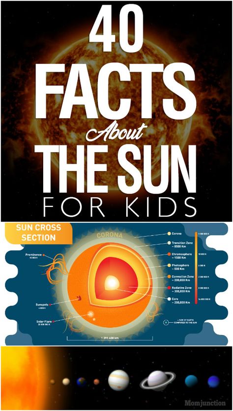 Looking for some Interesting and fun sun facts for kids? MomJunction brings a list of facts about the sun that will vet your kid's curiosity. Sun Unit Study, Sun Activities For Kids, Sun Facts For Kids, Facts About The Sun, Sun Facts, Sun Activities, Sun Science, Sun System, Sun Activity