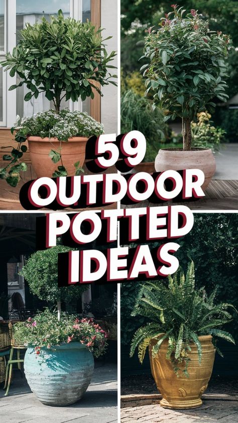 Outdoor Potted Plants Ideas 59 Find 59 inspiring outdoor potted plants ideas for a lush and vibrant garden. Learn how to create beautiful plant displays that add color and life to your outdoor area. Visit our website for more ideas. Galvanized Pots For Plants, Outdoor Garden Pots Ideas, Outdoor Tall Potted Plant Ideas, Potted Plants Along Walkway, Unique Garden Containers, Landscape With Pots Front Yard, Flowers To Put In Planters, Flowering Pots Ideas Outdoor, Flower Pots Ideas Outdoor