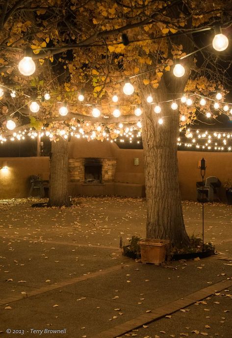 String Lights Outdoor Wedding, Outdoor Wedding Lighting, Backyard Trees, Diy Outdoor Lighting, Patio String Lights, Thanksgiving Decorations Diy, String Lights Wedding, Backyard Lighting, Outdoor Diy Projects