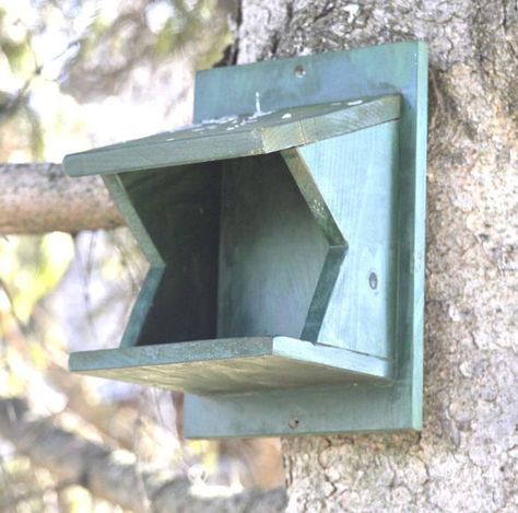 Wet Bar Cabinet, Robin Bird House, Bird Houses Ideas, American Robin Bird, How To Build Abs, Bird Houses Ideas Diy, Bird House Plans, Bird House Kits, Bunk Bed Designs