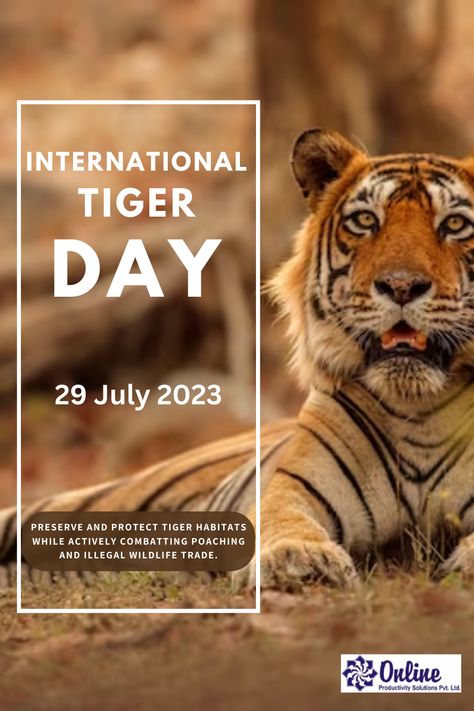 International Tiger Day falls on July 29th annually and serves as a worldwide campaign to raise awareness about the critical importance of tiger conservation. By promoting sustainable practises, supporting conservation efforts, and strictly combating illegal activities, we can work towards ensuring a brighter future for tigers and the ecosystems they inhabit. International Tiger Day, Tiger Habitat, Tiger Day, Tiger Conservation, Sustainable Practices, Bright Future, Tigers, Sustainability