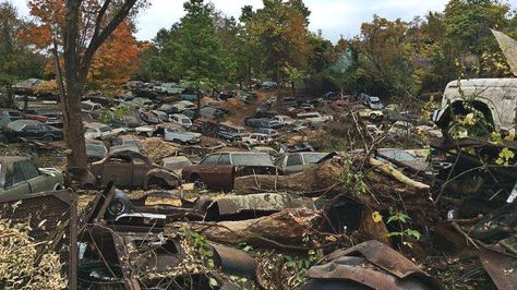 Wrecking Yard Liquidation Update! - http://barnfinds.com/wrecking-yard-liquidation-update/ Metal Recycling, Wrecking Yards, Abandoned Cars, The Guys, New Photos, Getting Ready, I Saw, Cool Cars, How Many