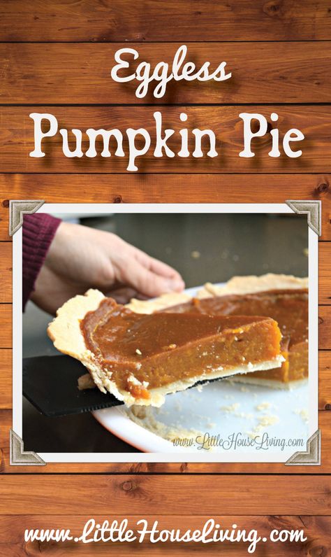 Eggless Pumpkin Pie Recipe Eggless Pumpkin Pie Recipe, Eggless Pumpkin Pie, Vegan Pumpkin Pie Recipe, Healthy Pumpkin Dessert, Vegan Pies Recipes, Egg Free Desserts, Egg Free Baking, Train Pumpkin, Crustless Pumpkin Pie