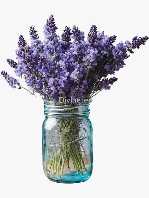 Mason jar, flower girl, lavenders, spring flowers, summer vibe, lavender bunch, botanical, nature Lavender Bunch, Flowers Summer, Mason Jar, Spring Flowers, Summer Vibes, Mason Jars, Flower Girl, Lavender, For Sale