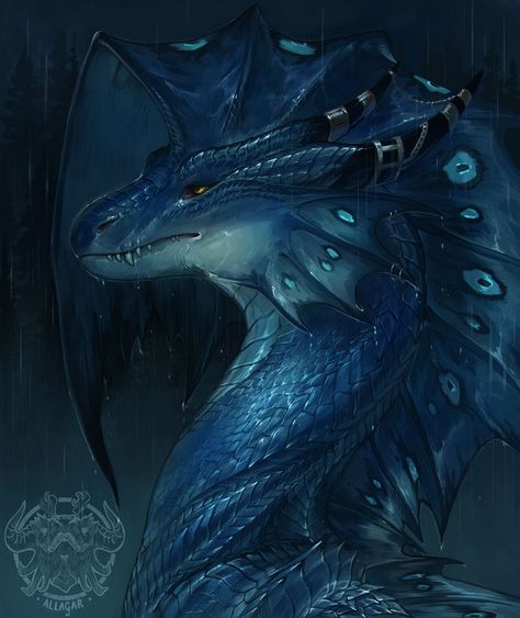 Dragon Artwork Fantasy, Dragon Sketch, Fairy Dragon, Sea Dragon, Dragon Rider, Creature Drawings, Dragon Pictures, Fantasy Creatures Art, Dragon Artwork