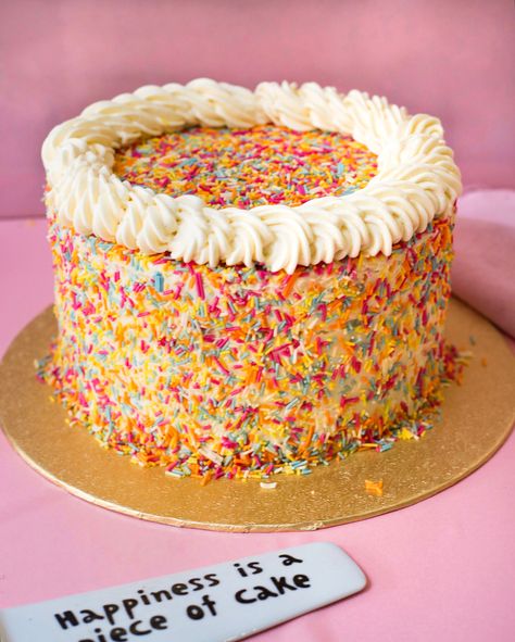 Old School Birthday Cake, Old School Cake Design, Simple Cake With Sprinkles, Old School Sprinkle Cake, Old School Cake, Sprinkle Inside Cake, Birthday Cake Confetti Sprinkles, Birthday Cake With Sprinkles Inside, Sims Home