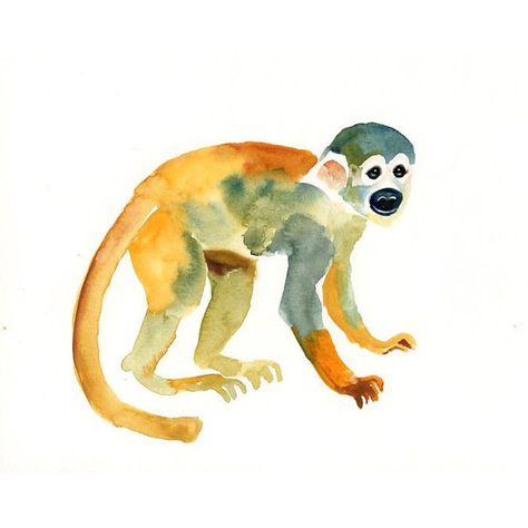 SQUIRREL MONKEY Original watercolor painting 10X8inch ($30) ❤ liked on Polyvore featuring animals, art, watercolor and monkey Gorilla Painting, Monkey Watercolor, Monkey Svg, Paint Monkey, Monkey Drawing, Squirrel Monkey, Monkey Art, Watercolor Projects, Cow Painting