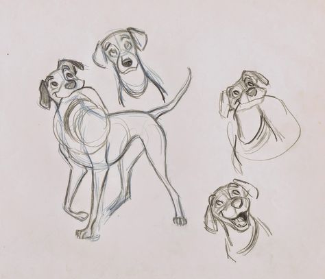 Character sketch of Pongo from Disney's "101 Dalmatians" by Milt Kahl. Milt Kahl, Drawings Of Dogs, Hat Drawing, Disney Character Drawings, Animal Character Design, Cartoon Drawings Disney, Cartoon Drawings Of Animals, Drawing Hands, Dog Sketch