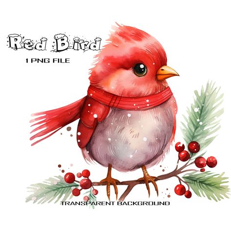 Watercolor Scarf, Bird Illustrations, Bird Christmas, Bird Clipart, Christmas Illustrations, Holiday Clipart, Watercolor Red, Christmas Bird, Red Bird