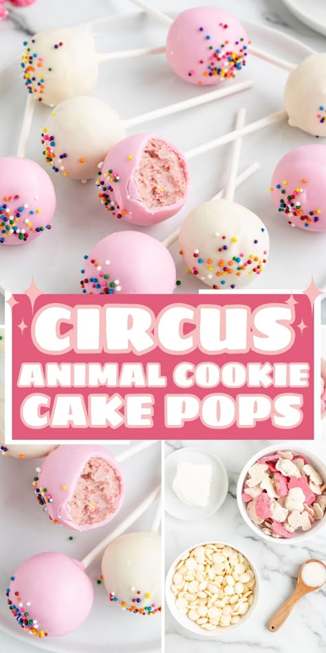 Cake Pop Flavors Recipes, Circus Theme Treats, Circus Theme Party Food Snacks, Unique Cake Pop Flavors, Animal Cracker Cake, Circus Theme Cupcakes Birthday Ideas, Animal Cookie Dessert, Small Party Food Ideas, Carnival Desserts