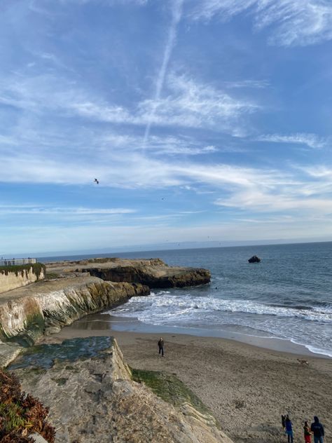 University Of Santa Cruz, Ucsc Campus Aesthetic, Uc Santa Cruz Aesthetic, Ucsc Aesthetic, Ucsc Campus, Santa Cruz University, Santa Cruz Aesthetic, West Coast University, University Of California Santa Cruz