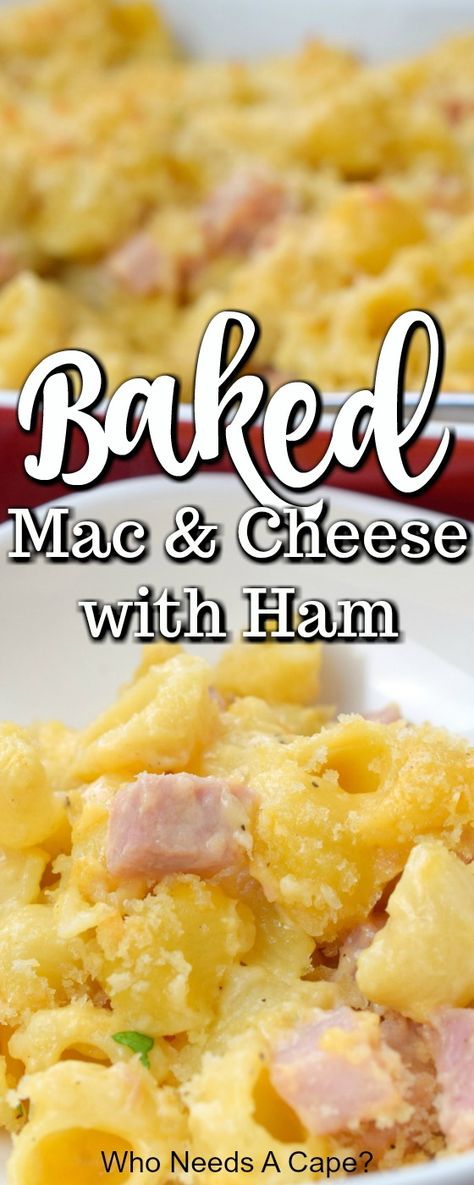 Ham Cheese Casserole Dinners, Ham Mac And Cheese Casserole Easy Recipes, Creamy Mac And Cheese With Ham, Ham And Cheese Recipes Dinners, Ham And Cheese Dinner Ideas, Ham Steak Pasta Recipes, Baked Mac And Cheese Recipe With Ham, Mac And Cheese And Ham Casserole, Macaroni And Cheese Casserole With Meat