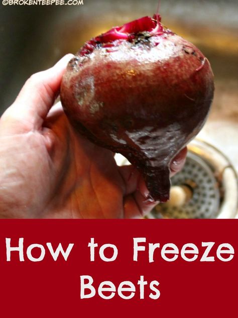 How to Freeze Beets  After the beets are harvested what do you do with them? You can only pickle so many. Instead of canning them you can freeze them! It takes less time and the end result is tastier. #beets #puttingfoodby via @BooksCooksLooks Preserve Beets, How To Freeze Beets, Freezing Beets, Healthiest Vegetables, Apple Cookies Recipes, Sheet Pan Meals Chicken, Freezing Vegetables, Vegetable Harvest, Pickled Beets