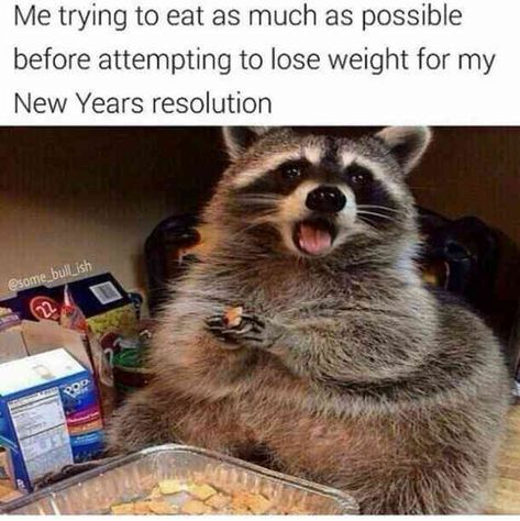 30 Best Funny Memes About The New Year That Are Guaranteed To Make You Laugh | YourTango New Year Eve Quotes Funny, New Year Resolution Meme, New Years Eve Meme, Funny New Years Memes, Funny New Years Eve, New Years Resolution Funny, Christmas Funnies, New Year Quotes Funny Hilarious, Happy New Year Funny