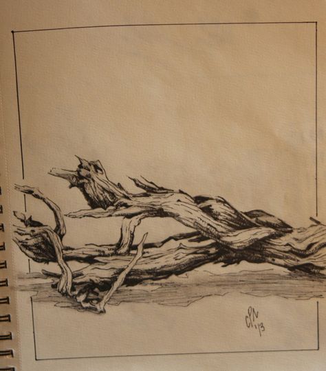 Driftwood 2. Driftwood Drawing, Driftwood Tattoo, Pen Sketch, Visual Journal, Ink Sketch, Gourd Art, Art Drawings Simple, Plein Air, Pen And Ink