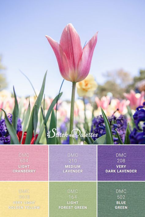 Dmc Pink Color Palette Code, Lavender Pink Yellow Color Schemes, Lavender Green Yellow Palette, Pink Yellow Green Purple Color Palette, Pink Spring Color Palette, Pink And Lavender Color Palette, Lavender Pink Green Color Palette, Yellow Purple Green Color Scheme, Colors That Compliment Lavender