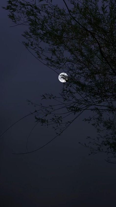 Moon Vibe, Vibe Nature, Night Landscape Photography, Dark Academia Wallpaper, Ocean At Night, Night Sky Photography, Blur Photo Background, Sky Photography Nature, Dark Nature Aesthetic