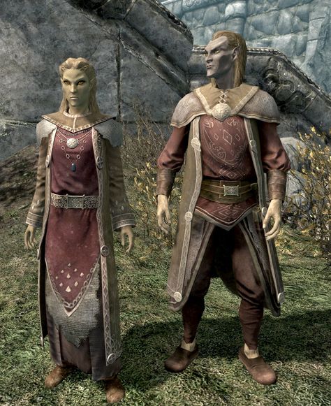 Altmer (Skyrim) | Elder Scrolls | Fandom Skyrim Altmer, Skyrim Races, Skyrim Elder Scrolls, Scrolls Game, Fantasy Genre, Bard College, Night Elf, Pointed Ears, High Elf