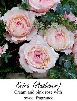 Blush pink garden roses Flowers Chart, Garden Wedding Ceremony Decorations, Garden Weddings Ceremony, Rose Centerpieces, Garden Party Decorations, Flower Guide, Peonies Garden, Living Art, David Austin Roses