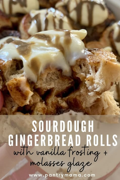 Sourdough Gingerbread Rolls are flavored with molasses, ginger, cinnamon and spices and are finished with a decadent vanilla frosting. Soft Sourdough Recipes, Sourdough Christmas Desserts, Sourdough Christmas Bread, Sourdough Accessories, Gingerbread Sourdough, Sourdough Christmas Recipes, Christmas Sourdough Recipes, Sourdough Business, Sourdough Gingerbread