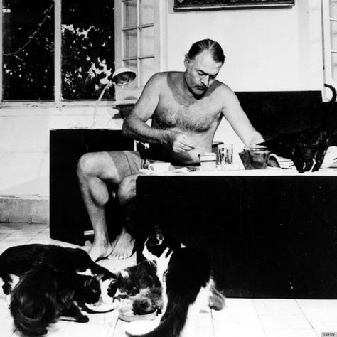 26 Interesting Vintage Photos of Ernest Hemingway With His Beloved Cats ~ vintage everyday Ernest Hemingway Pictures, Hemingway Cats, Celebrities With Cats, Patricia Highsmith, Men With Cats, Polydactyl Cat, Group Of Cats, Lovers Pics, Cat People