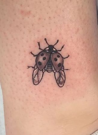 Ladybug With Wings Open Tattoo, Black And Grey Ladybug Tattoo, Realistic Ladybug Tattoo Black And White, Ladybug Flying Tattoo, Tiny Insect Tattoo, Flying Ladybug Tattoo, Little Ladybug Tattoo, Small Black And Grey Tattoos, Ladybug Tattoo Black And White