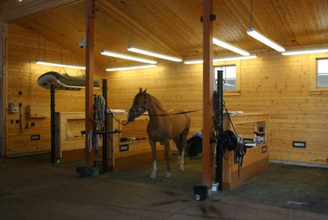 Equine Stables, Paddock Trail, Equestrian Stables, Equestrian Barns, Turkey Farm, Horse Barn Ideas Stables, Horse Barn Designs, Horse Shelter, Dream Horse Barns