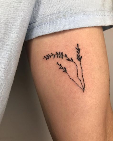 Leaf Stick And Poke, Nyc Tattoo, Hand Poked Tattoo, Hand Poke, Stick And Poke, Line Tattoos, Tattoos And Piercings, Maple Leaf Tattoo, I Tattoo