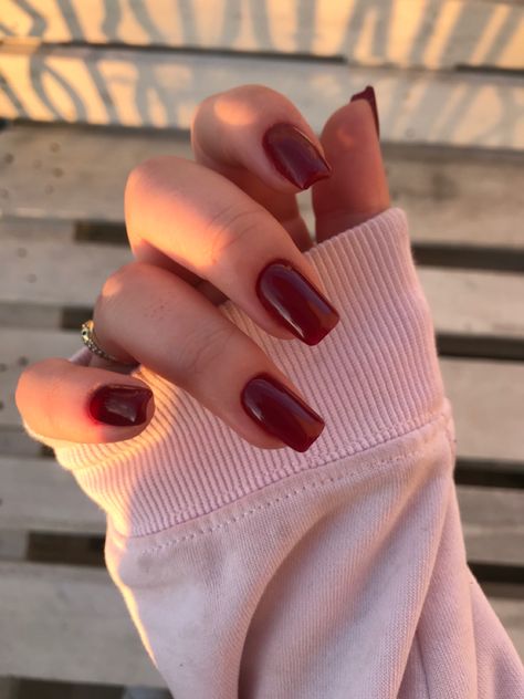 Simple Birthday Nails Square, Red Rounded Square Nails, Red Ballerina Nails Short, Shirt Red Nails, Dark Red Square Acrylic Nails, Red Nails Square Medium, Red Nails Acrylic Square, Burgundy Square Nails, Red Shirt Nails