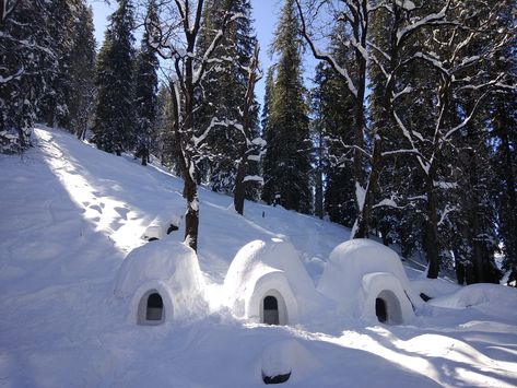 Spend the night in an igloo at this Himalayan stay Igloo Village, Igloo House, Snow Adventure, Snow Surfing, Global World, Snow Art, Adventure Activities, Travel Articles, Himachal Pradesh