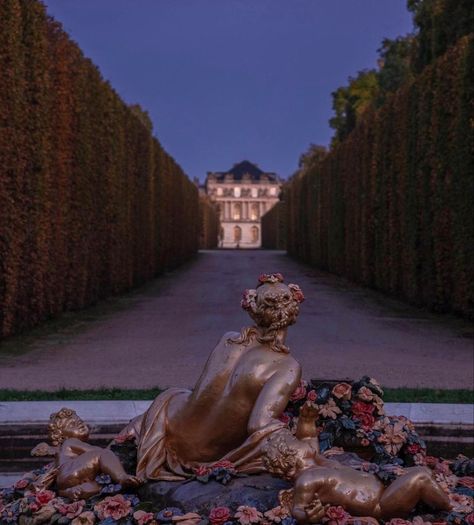 France Chateau, King Louis Xiv, The Palace Of Versailles, Versailles Garden, French Royalty, France Aesthetic, Autumn Sunset, Versailles France, Chateau Versailles