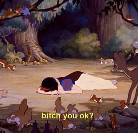 Bitch you ok? Snow White 1937, Funny Tumblr Comments, Sette Nani, Cartoon Disney, Kat Dennings, Snow White And The Seven Dwarfs, Princesa Disney, Quotes Disney, Old Disney