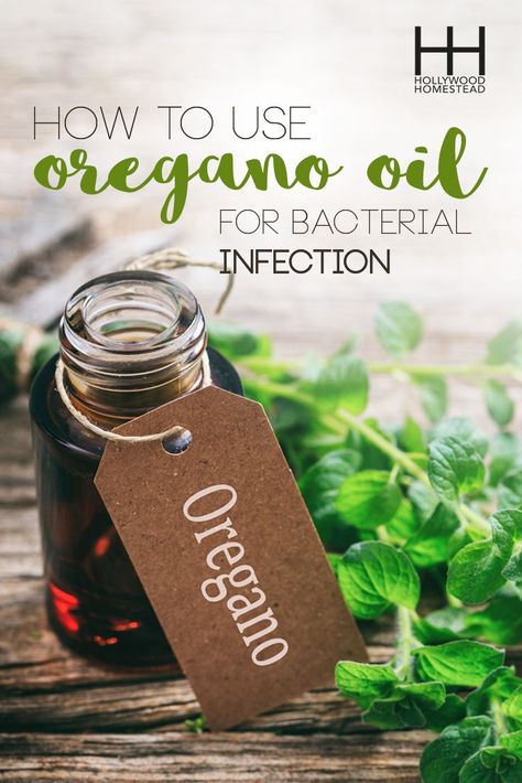 Oil Of Oregano, Oregano Oil Benefits, Oregano Essential Oil, Oregano Oil, Natural Antibiotics, Bacterial Infection, Oil Benefits, Essential Oil Uses, Doterra Essential Oils