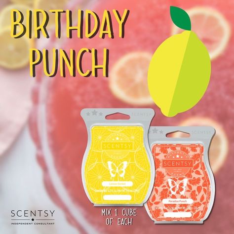 Scentsy Combinations, Scentsy Mixers, Paradise Punch, Scentsy Mixology, Mixology Recipes, Scentsy Recipes, Best Wax Melts, Scentsy Candles, Scentsy Bar