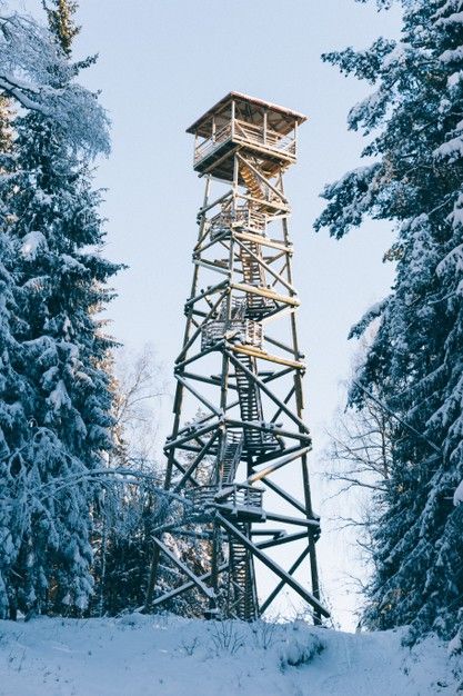 Birdwatching Tower, Watch Tower Architecture, Fire Watch Tower, Village Witch, Emily Davis, Fire Watch, Winter Watch, Hunting Stands, Desert City