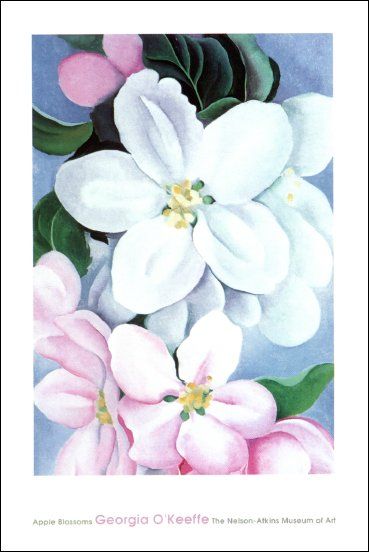 Georgia O'Keeffe. Apple Blossoms Georgia O'keefe Art, Georgia O Keeffe Paintings, O Keeffe Paintings, Georgia Okeefe, Apple Blossoms, Custom Cat Portrait, Peacock Painting, Georgia O Keeffe, Albrecht Durer