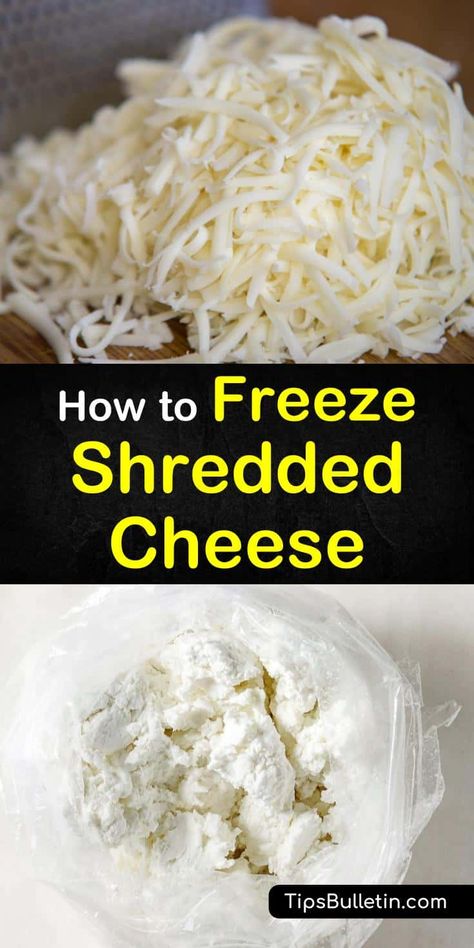 Yes, you can freeze shredded cheese. Learn the best methods for freezing, storing, and thawing shredded cheeses. These tips and tricks will show you the best strategies based on the type of cheese, its size, and condition. #freeze #shredded #cheese Freezing Shredded Cheese, Freezing Cheese, Freezing Food Guide, Cheese Recipes Homemade, Different Cheeses, Freezing Vegetables, Freezable Meals, Cheese Dishes, Food Saver