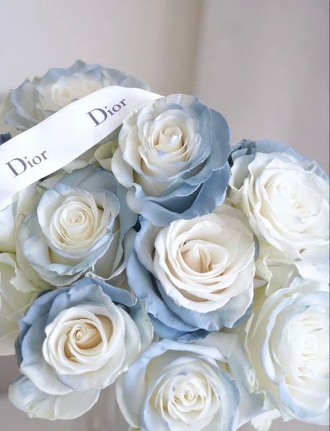 Dior Flowers, Photo Bleu, Baby Blue Aesthetic, Light Blue Aesthetic, Blue Aesthetic Pastel, Light Blue Flowers, Nothing But Flowers, Flowers Bouquet Gift, Flower Therapy