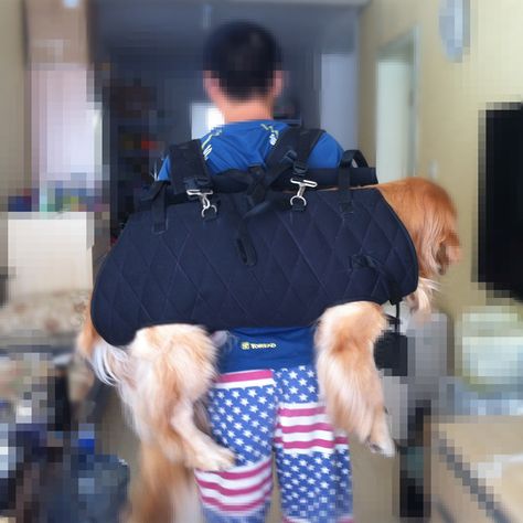 Large Dog Carrier, Dog Backpack Carrier, Dog Storage, Dog Poo Bags, Dog Travel Bag, Dog Carrier Bag, Dog Ramp, Dog List, Hiking Dogs