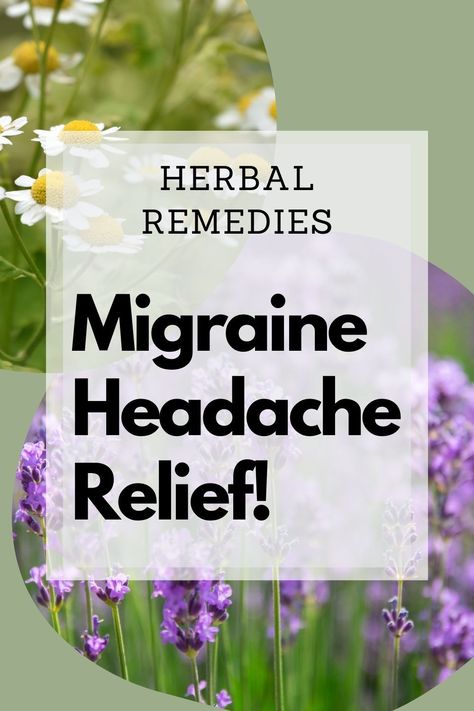 natural remedies for back pain relief Herbal Remedies For Migraines, Herbs For Headache, Herbs For Migraines Headache Relief, Herbs For Headaches Migraine Relief, Herbal Migraine Remedies, Herbal Headache Relief, Headache Tincture Recipe, Tea For Migraines Headache Relief, Natural Remedy For Headache