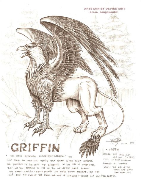 griffin by artstain.deviantart.com on @DeviantArt Griffin Harry Potter, Griffin Meaning, Griffon Aesthetic, Harry Potter Creatures Drawing, Mythological Creatures Drawings, Griffin Mythology, Griffin Animal, Griffin Aesthetic, Mythical Griffin