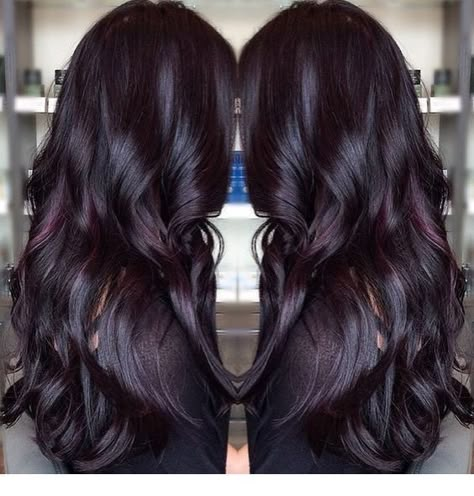 Pelo Color Borgoña, Dark Purple Hair, Plum Hair, Violet Hair, Purple Highlights, Dark Violet, Violet Color, Burgundy Hair, Penteado Cabelo Curto