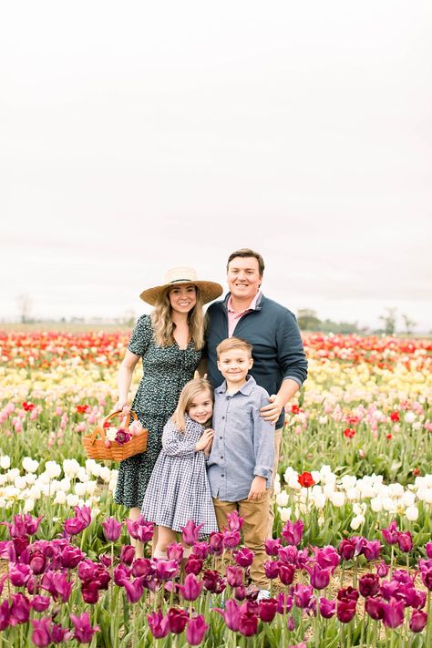 Tulip Field Photoshoot, Photoshoot Wallpaper, Zicxa Photos, Tulips Images, Pond Wedding, Carlsbad Flower Fields, Field Photos, Field Photoshoot, Tulip Field