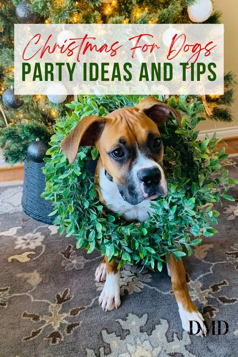 Festive ideas and tips for hosting an epic dog Christmas party. Plus, a super cute dog story, too. Feel free to take a peek. #dogchristmas #puppychristmas #dogparty #dogpartyideas #christmasfordogs #dogornaments #christmasdogornaments #puppyparty Dog Christmas Party Ideas, Dog Christmas Party, Dog Christmas Activities, Husband Birthday Wishes, Christmas Party Pictures, Dogs First Christmas, Gifts For Husband Birthday, Birthday Wishes For Best Friend, Photo Shoot Birthday